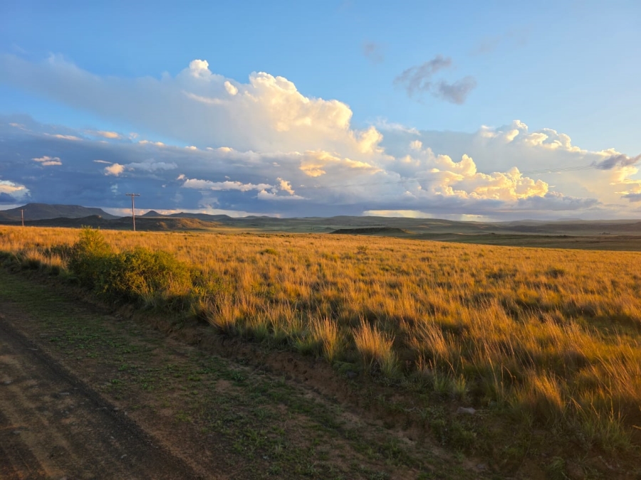 4 Bedroom Property for Sale in Jamestown Eastern Cape